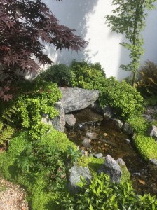 Hove Community Acupuncture clinic garden